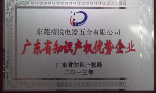 知識(shí)產(chǎn)權(quán)優(yōu)勢(shì)企業(yè)